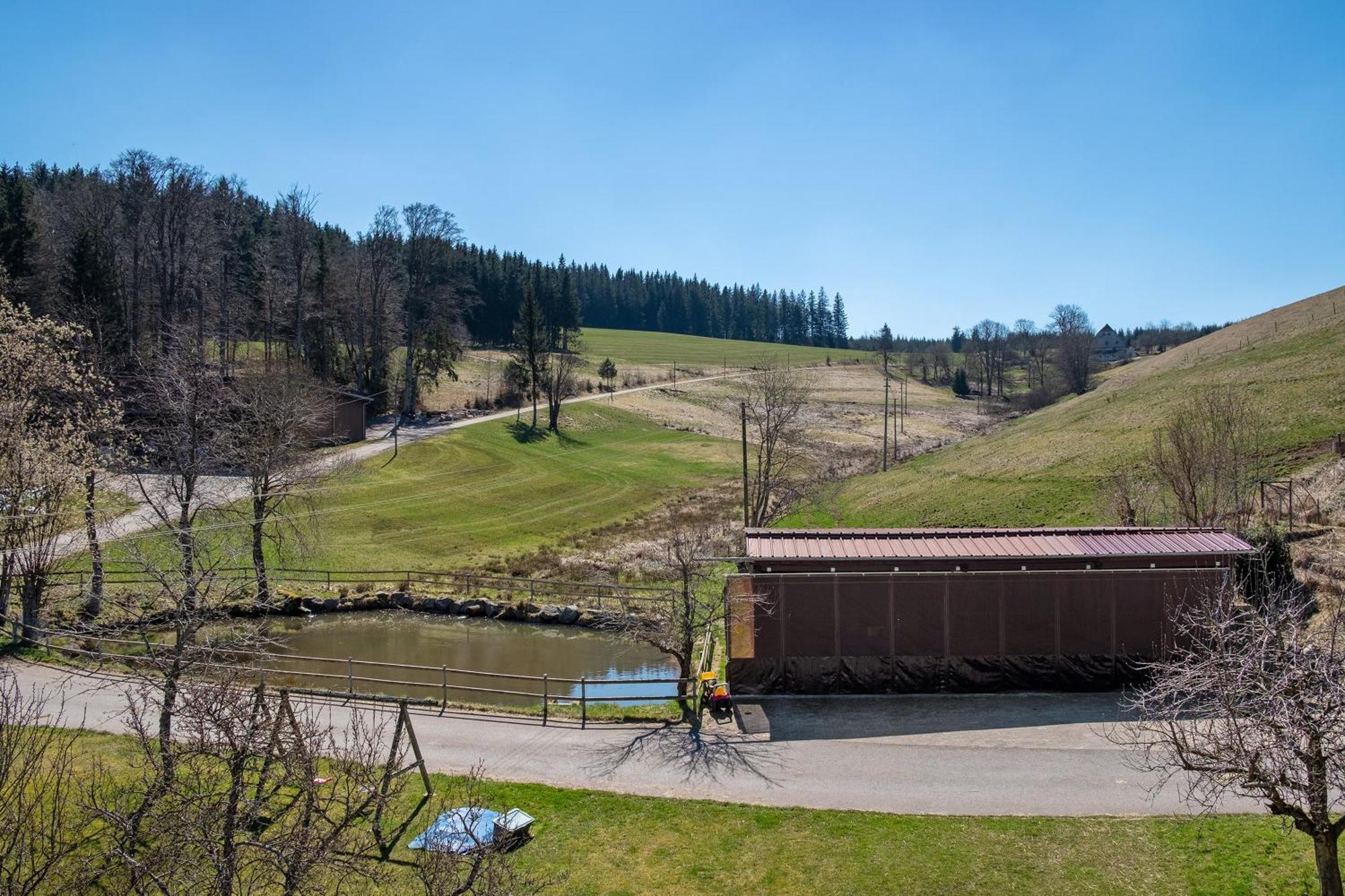 Ferienwohnung Armbruster Sankt Georgen im Schwarzwald Exterior foto